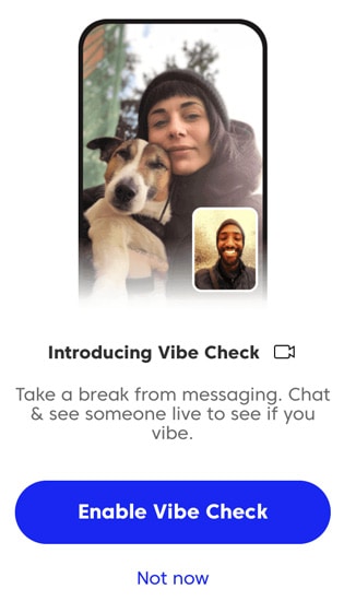 Match Vibe Check feature