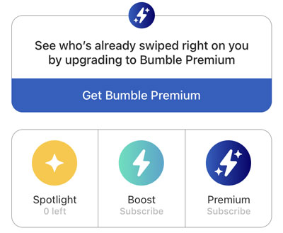 Bumble Upgrade Options