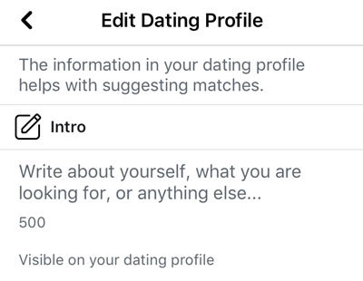 Facebook dating bio set up screen